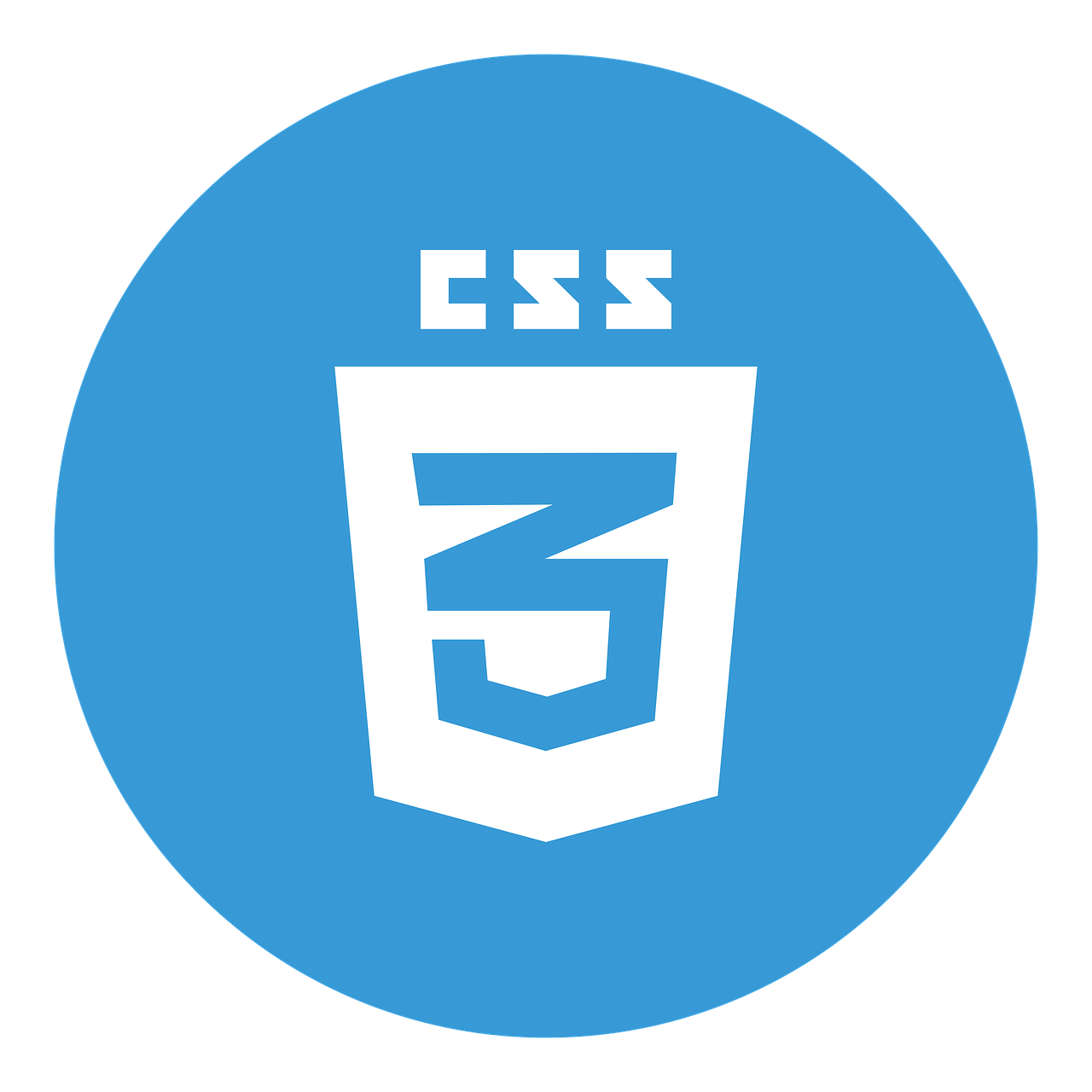 The CSS Language Logo